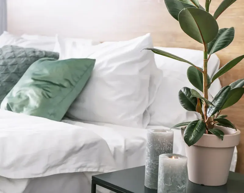 Bed Accessories